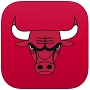 Chicago Bulls